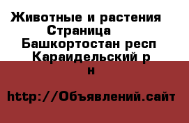  Животные и растения - Страница 10 . Башкортостан респ.,Караидельский р-н